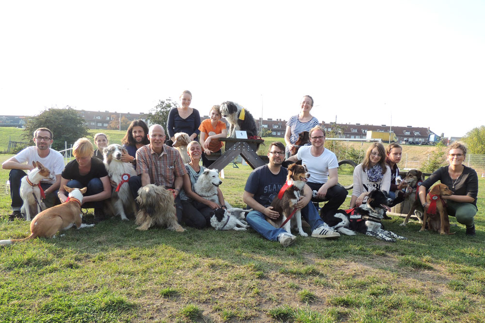 Hafenhunde Agility Turnier 2014