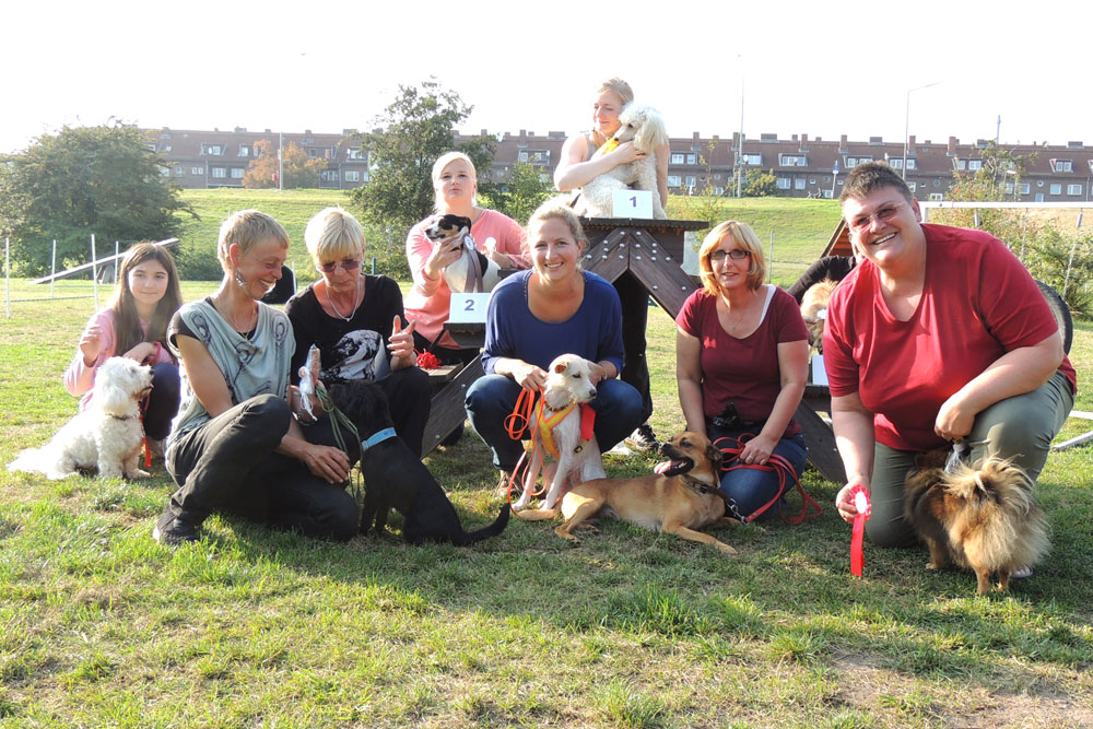 Hafenhunde Agility Turnier 2014