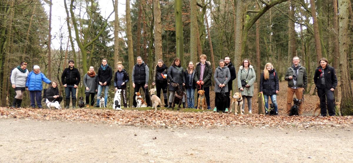  Hafenhunde Gruppe Wildpark Schwarze Berge