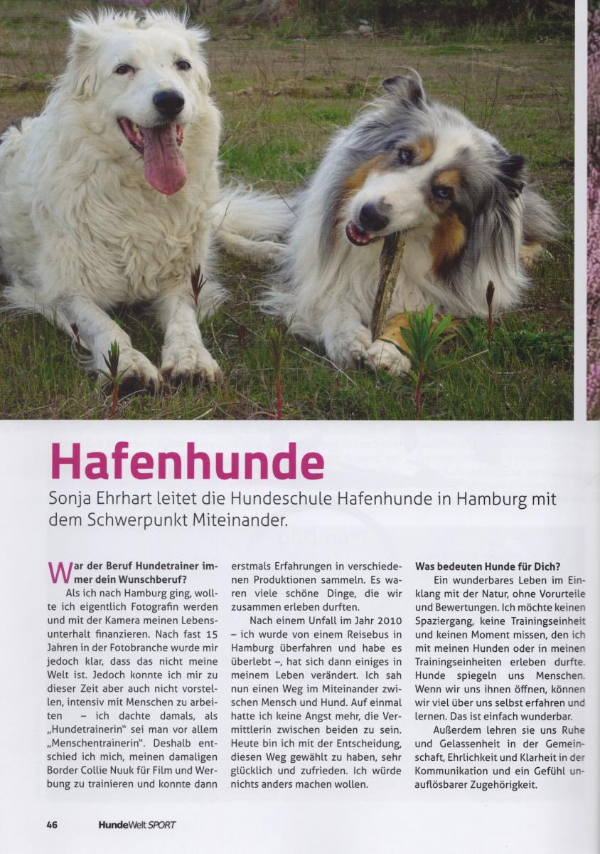 Bericht Hafenhunde Seite 1