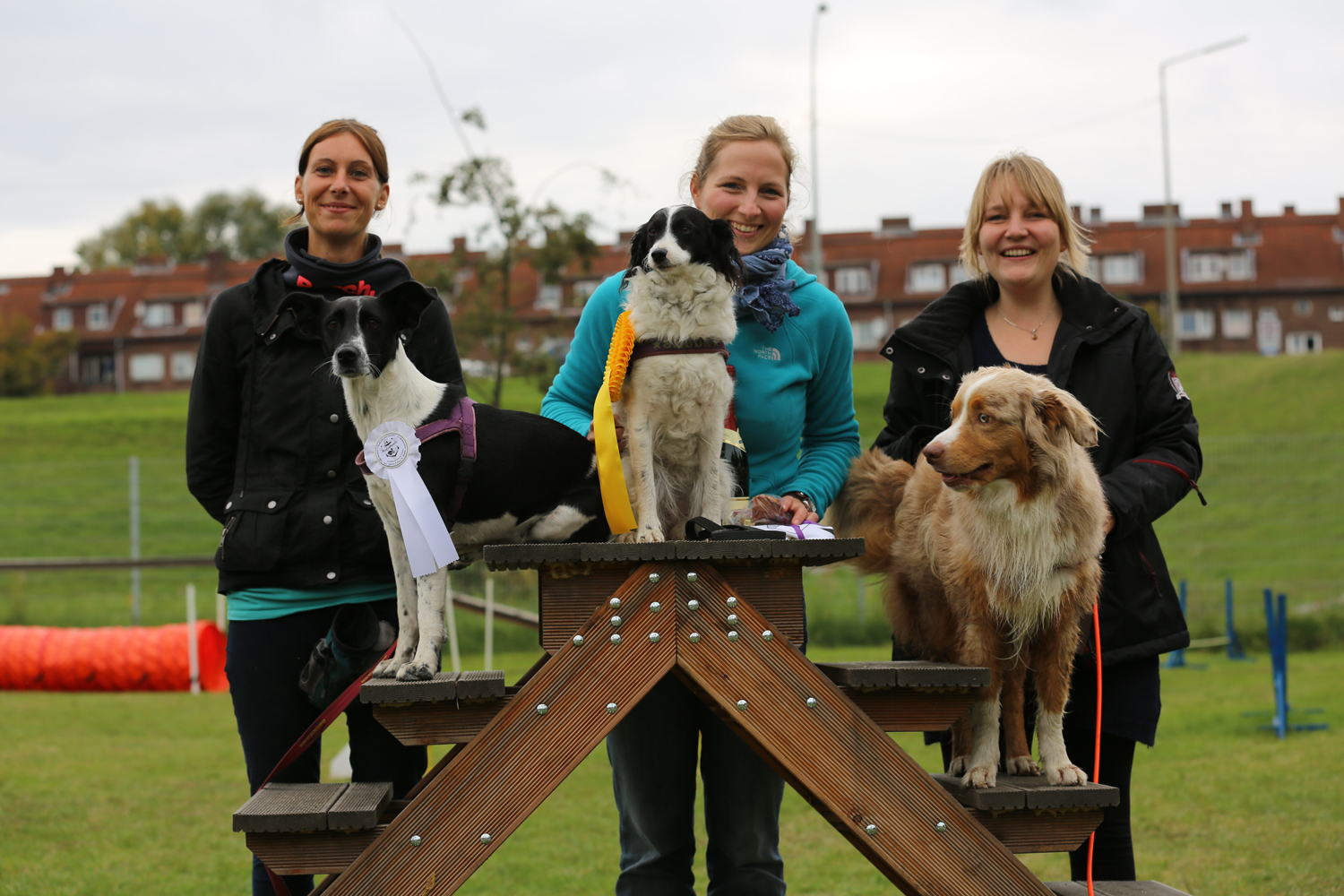 Agility Spass Turnier 2013