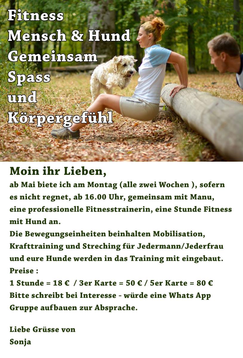 Hafenhunde Fitness