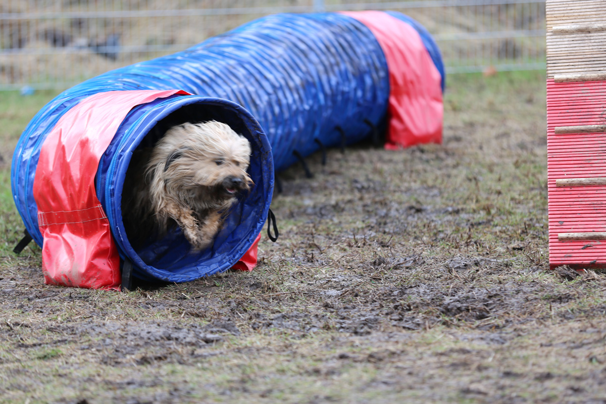 Tunnel Jule