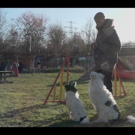 TIDE TV - Hafenhunde - Hamburg immer anders!